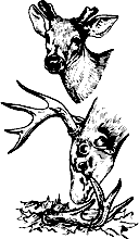 Непослушное дитя биосферы c05p15.png