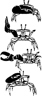 Непослушное дитя биосферы c05p16.png