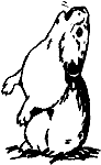 Непослушное дитя биосферы c05p17.png