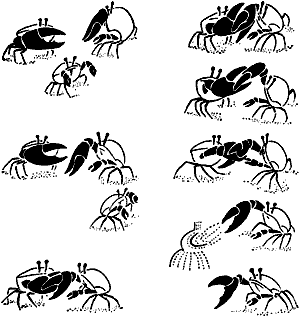 Непослушное дитя биосферы c05p21.png