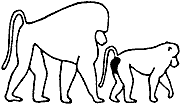 Непослушное дитя биосферы c05p23.png