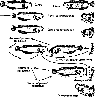 Непослушное дитя биосферы c05p25.png