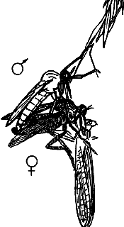 Непослушное дитя биосферы c05p26.png