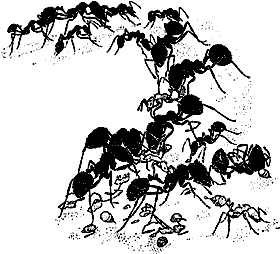 Непослушное дитя биосферы c07p35.png