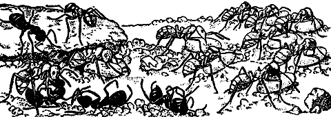Непослушное дитя биосферы c07p36.png