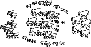 Непослушное дитя биосферы c07p38.png