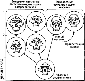 Непослушное дитя биосферы c02p04.png
