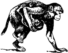 Непослушное дитя биосферы c02p06.png