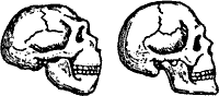 Непослушное дитя биосферы c02p09.png