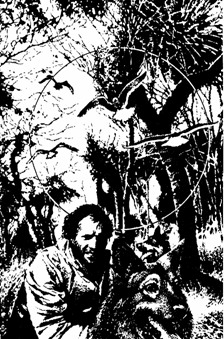 Взгляд с нехоженой тропы (Сборник) i_017.jpg