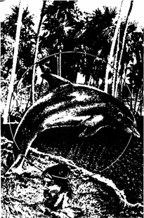 Взгляд с нехоженой тропы (Сборник) i_018.jpg