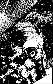 Взгляд с нехоженой тропы (Сборник) i_029.jpg