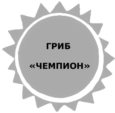 Жук и геометрия. Рассказы i_020.png