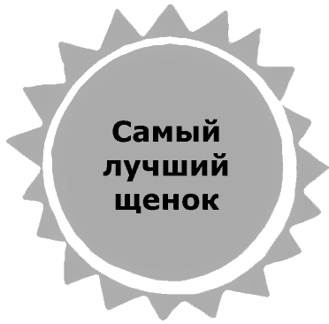 Жук и геометрия. Рассказы i_035.png