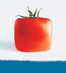 Журнал «Вокруг Света» №9 за 2005 год any2fbimgloader74.jpeg