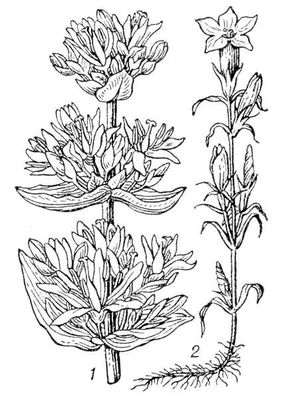 Большая Советская Энциклопедия (ГО) i010-001-268069303.jpg