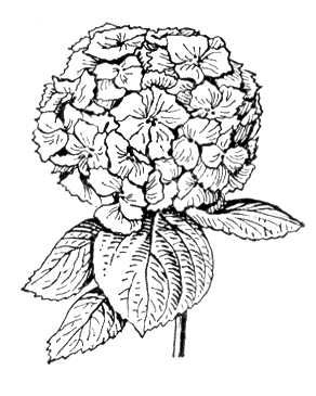 Большая Советская Энциклопедия (ГО) i010-001-279957939.jpg