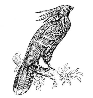 Большая Советская Энциклопедия (ГО) i010-001-277364306.jpg