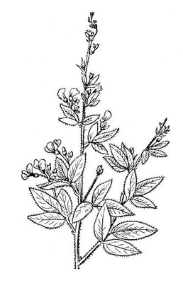 Большая Советская Энциклопедия (ГО) i010-001-278429947.jpg