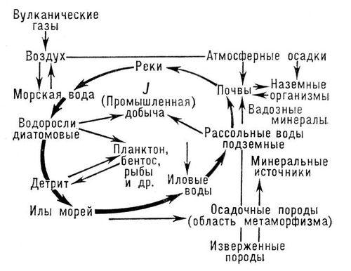 Большая Советская Энциклопедия (ГЕ) i009-001-208353621.jpg