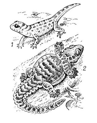 Большая Советская Энциклопедия (ГЕ) i009-001-219800745.jpg