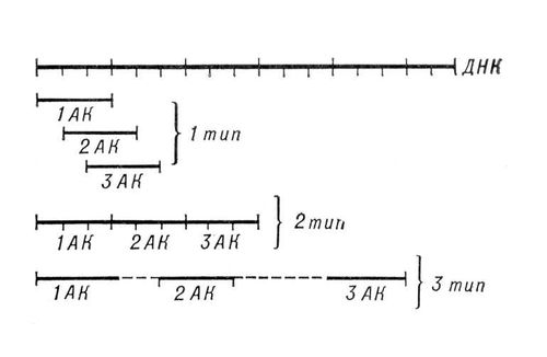 Большая Советская Энциклопедия (ГЕ) i009-001-215368619.jpg