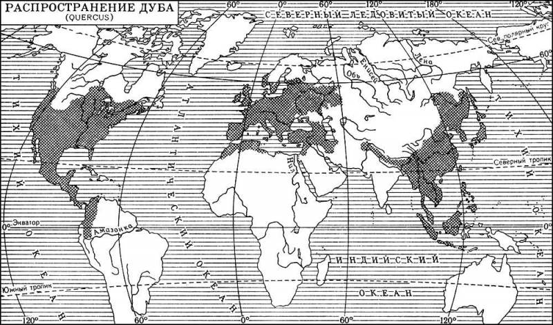Большая Советская Энциклопедия (ДУ) i010-001-276558785.jpg