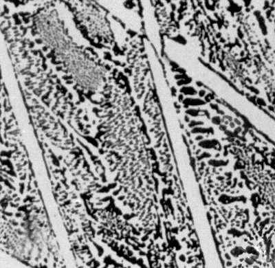 Большая Советская Энциклопедия (ЖЕ) i010-001-261974194.jpg
