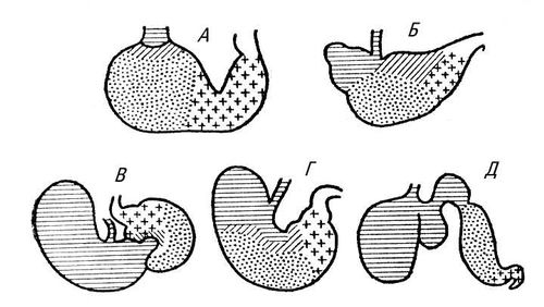 Большая Советская Энциклопедия (ЖЕ) i009-001-226584473.jpg