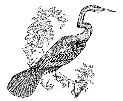 Большая Советская Энциклопедия (ЗМ) i009-001-242344511.jpg