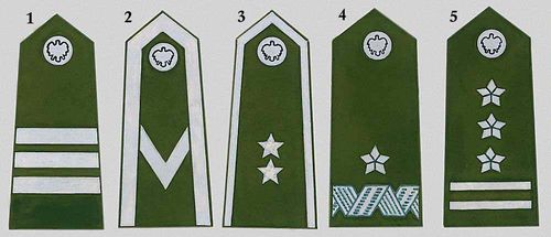 Большая Советская Энциклопедия (ЗН) i009-001-230057816.jpg