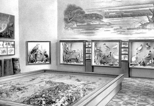 Большая Советская Энциклопедия (ЗО) i009-001-206485308.jpg