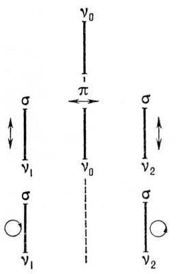 Большая Советская Энциклопедия (ЗЕ) i010-001-252796219.jpg