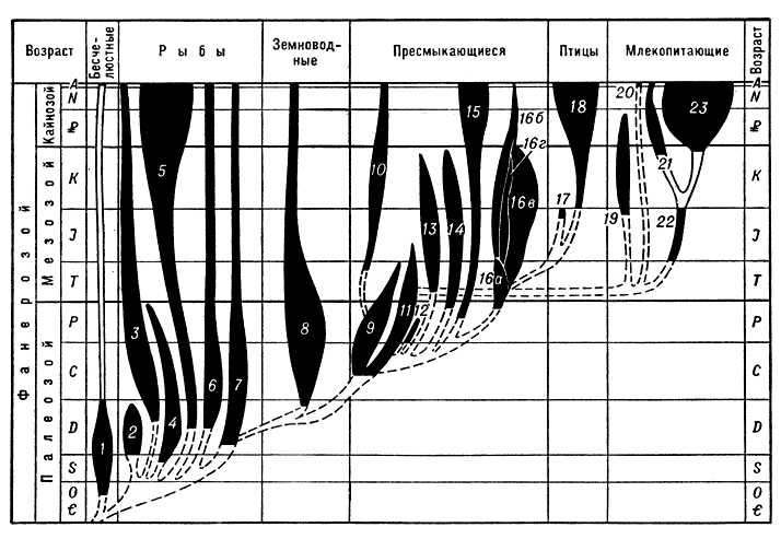 Большая Советская Энциклопедия (ЗЕ) i008-pictures-001-295898575.jpg