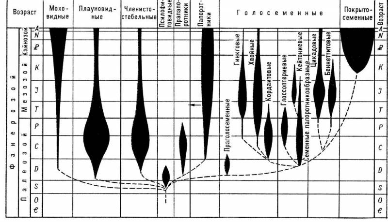 Большая Советская Энциклопедия (ЗЕ) i010-001-286501294.jpg