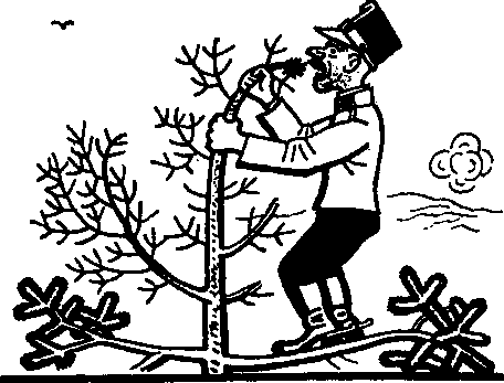 Картинки похождений бравого солдата Швейка i_083.png