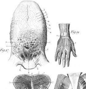 The Monstrumologist pic_2.jpg