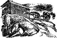 Рози – моя родня pic23.jpg