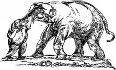 Рози – моя родня pic25.jpg