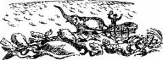 Рози – моя родня pic30.jpg