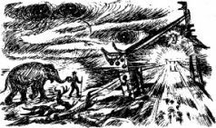 Рози – моя родня pic31.jpg