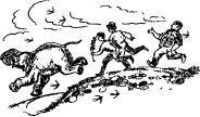 Рози – моя родня pic48.jpg