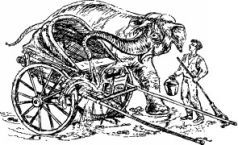 Рози – моя родня pic10.jpg