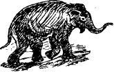 Рози – моя родня pic9.jpg
