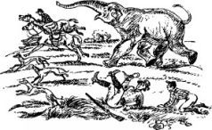Рози – моя родня pic12.jpg