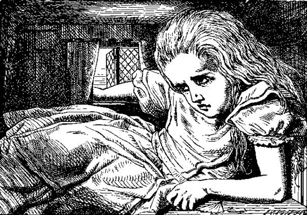 Alice's Adventures in Wonderland illustrated pic_10.jpg