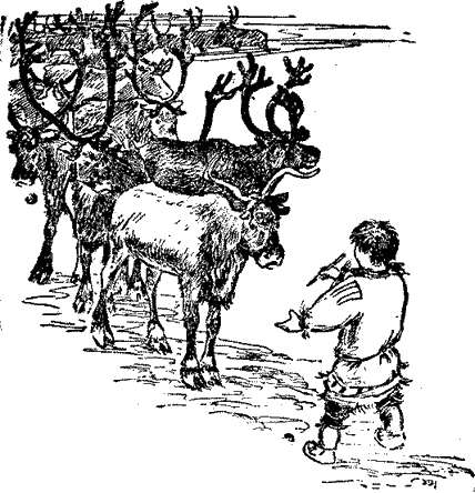 Топка img_13.png