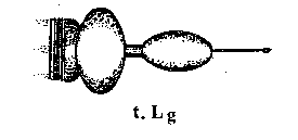 Инопланетные пришельцы UFO127.png