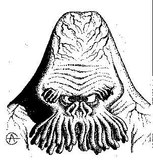 Инопланетные пришельцы UFO143.png