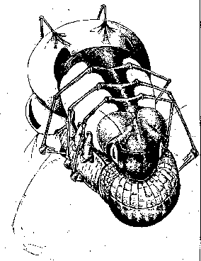 Инопланетные пришельцы UFO310E.png